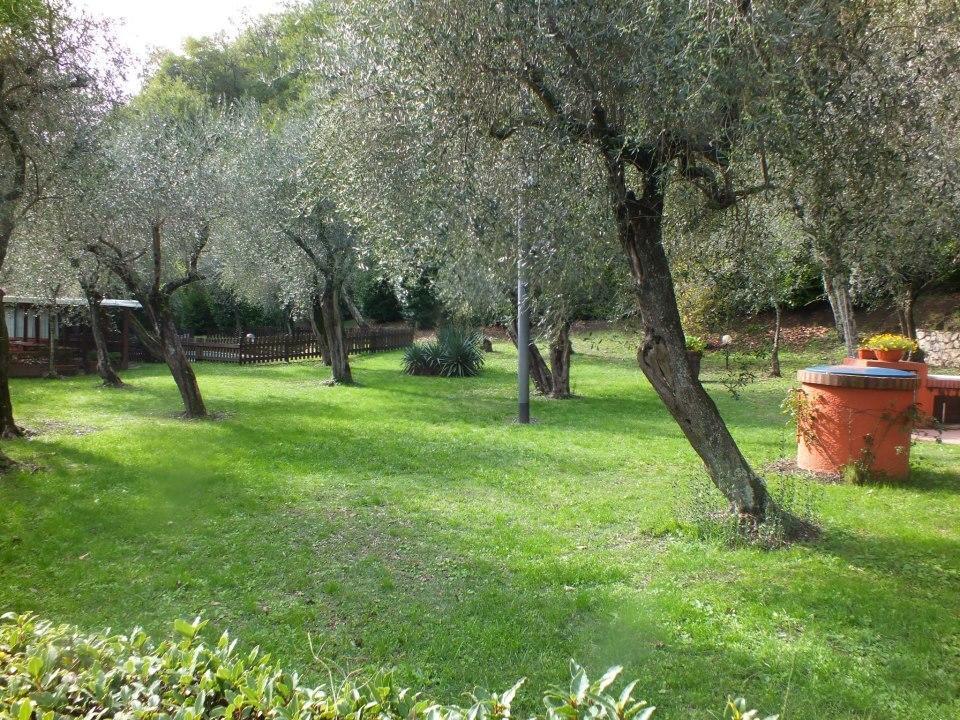 Gli Ulivi Fosdinovo Bagian luar foto